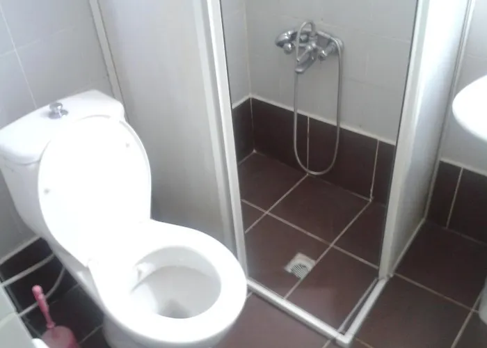 Hostel Artemis Yoruk *