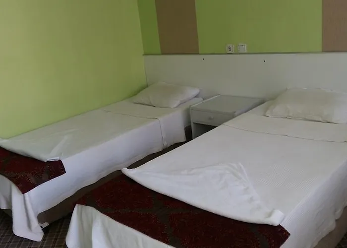 Hostel Artemis Yoruk *