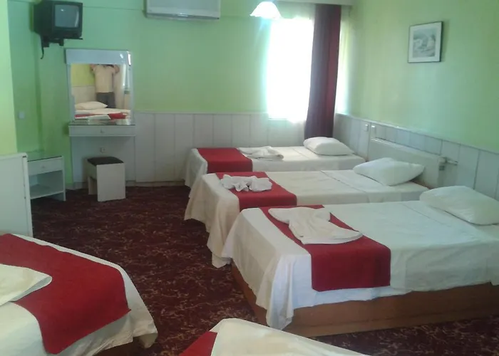 Hostel Artemis Yoruk *