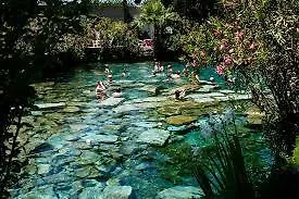 Hostel Artemis Yoruk