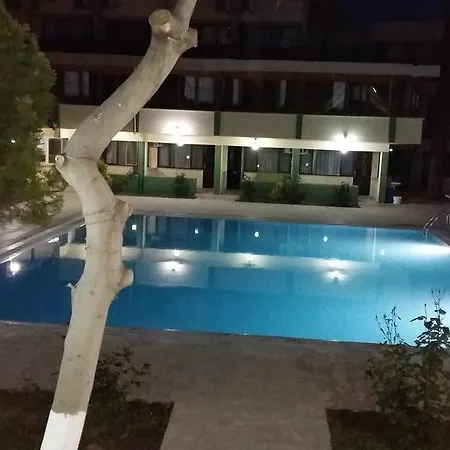 Artemis Yoruk