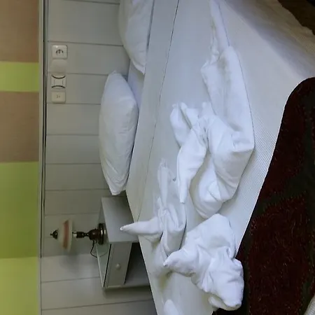 Hostel Artemis Yoruk *