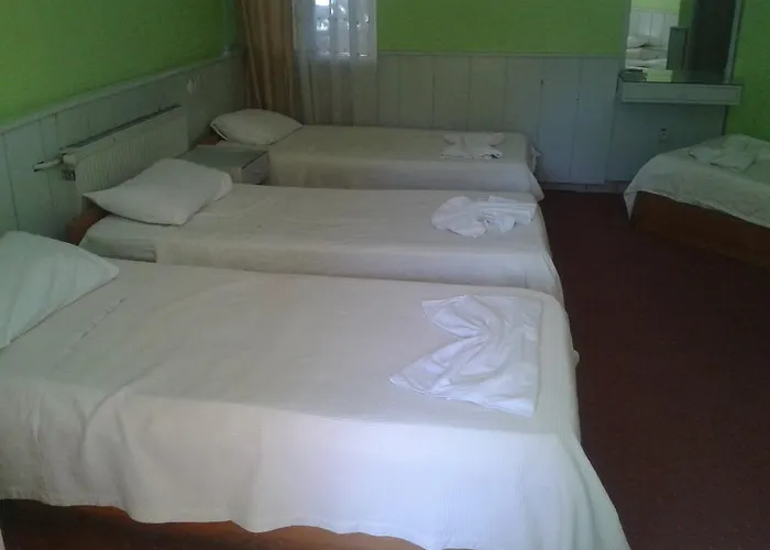 Hostel Artemis Yoruk